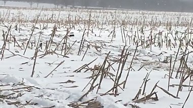 Adolescent teen gets railed by vintage snow machine in the ass