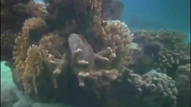 underwater
