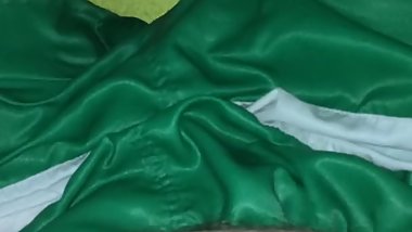 I in Adidas green white nylon satin short