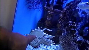 Slippin in through the Outdoor 3