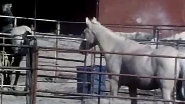 An Outdoor Sex With A Live Viewer