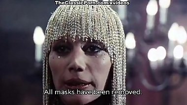histories vintage adult vids