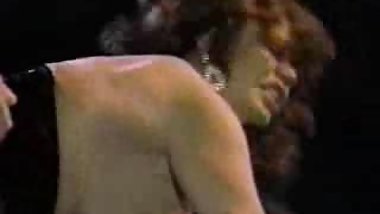 Kitten Natividad