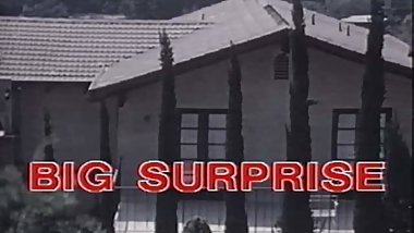 vintage 70s danish - Big Surprise - cc79