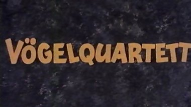 vintage 70s german - Voegelquartett - cc79