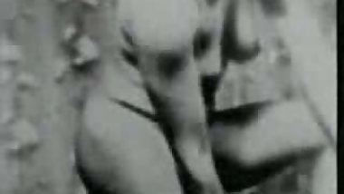 Vintage Dark Meat
