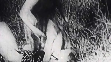 forbidden movies from the brothels of paris