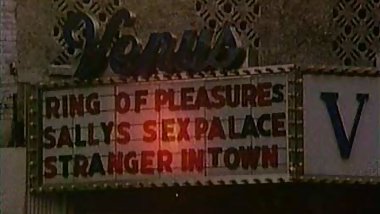 Vanessa Del Rio is an oral monster in Afternoon Delight