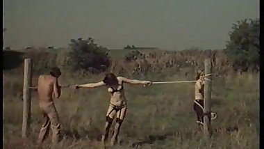 Sex in Field   70s
