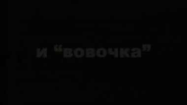 The St. Petersburg Tourism Board