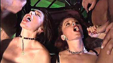 After dinner sex with Erika Bella