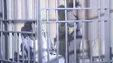 Jail House Fuck