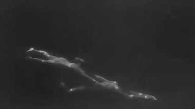 Tarzan and his mate (1934)