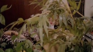 Marilyn Jess scenes