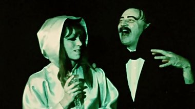 The Mad Love Life of a Hot Vampire