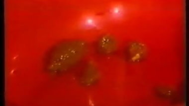 institut of perversity 1 p4 extrem pervers collector