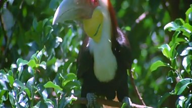 Among The Greatest Porn Films Ever Made 129