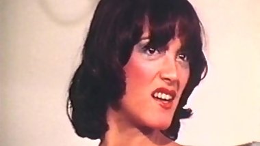 French Kittens (Higher Edit)