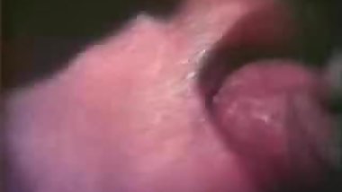 Mixed meat sandwich 01.flv